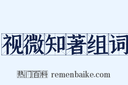 视微知著组词是什么意思的图片